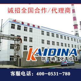 山東魯維醫藥12噸導熱油爐清洗工程結束